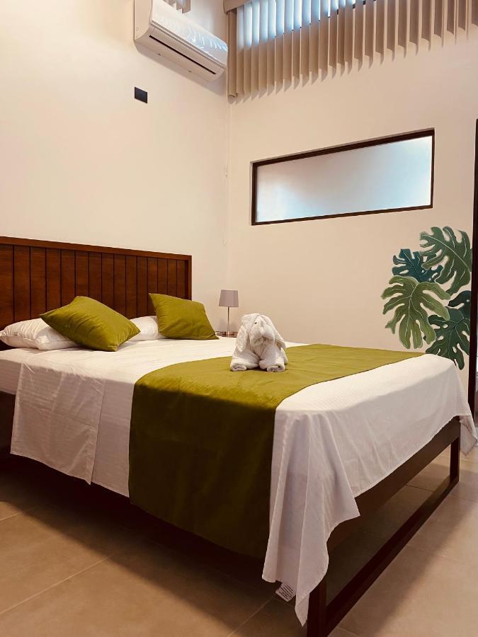 Casa Macaw Daire La Fortuna Dış mekan fotoğraf